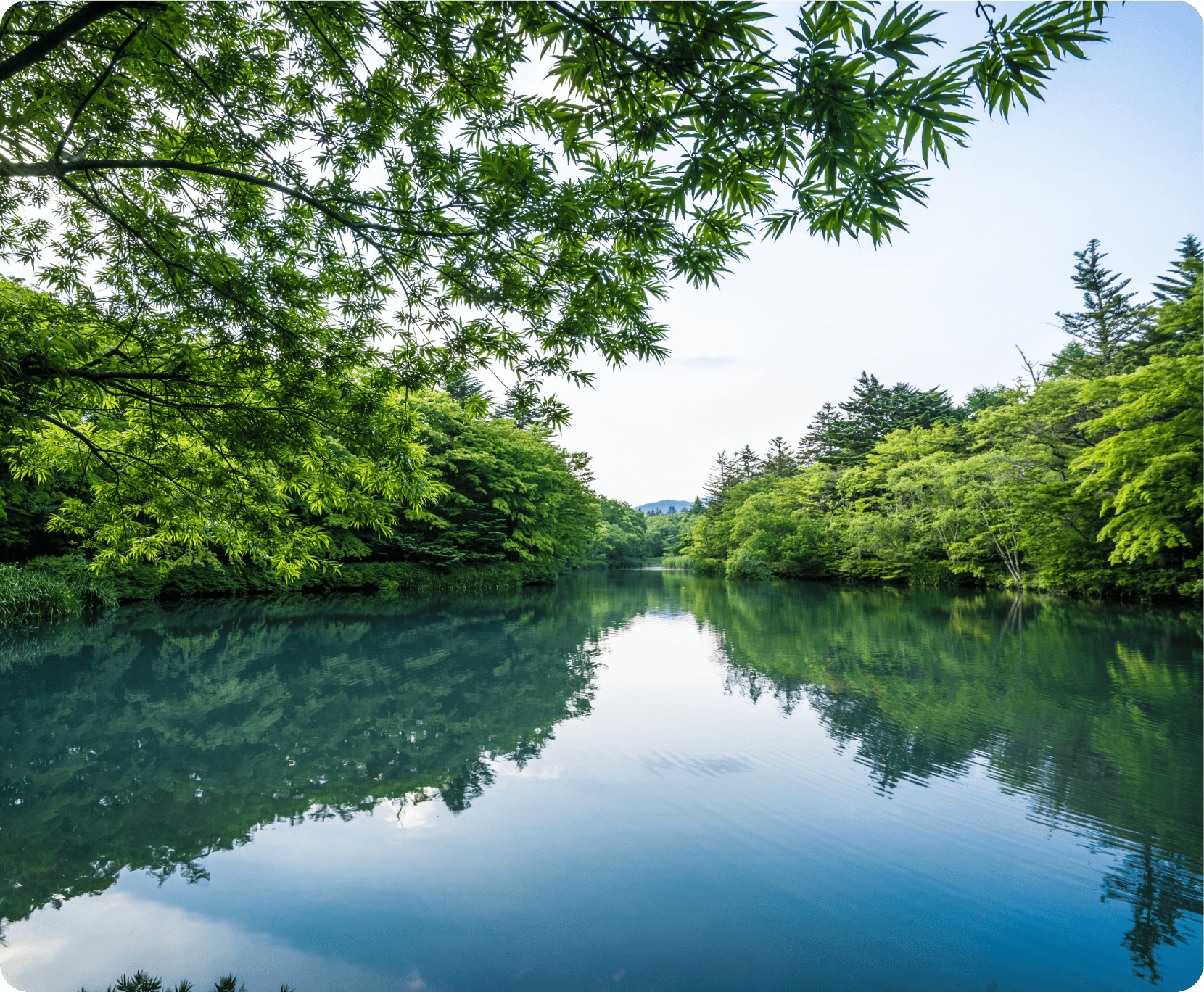 Calm water reflecting trees and sky