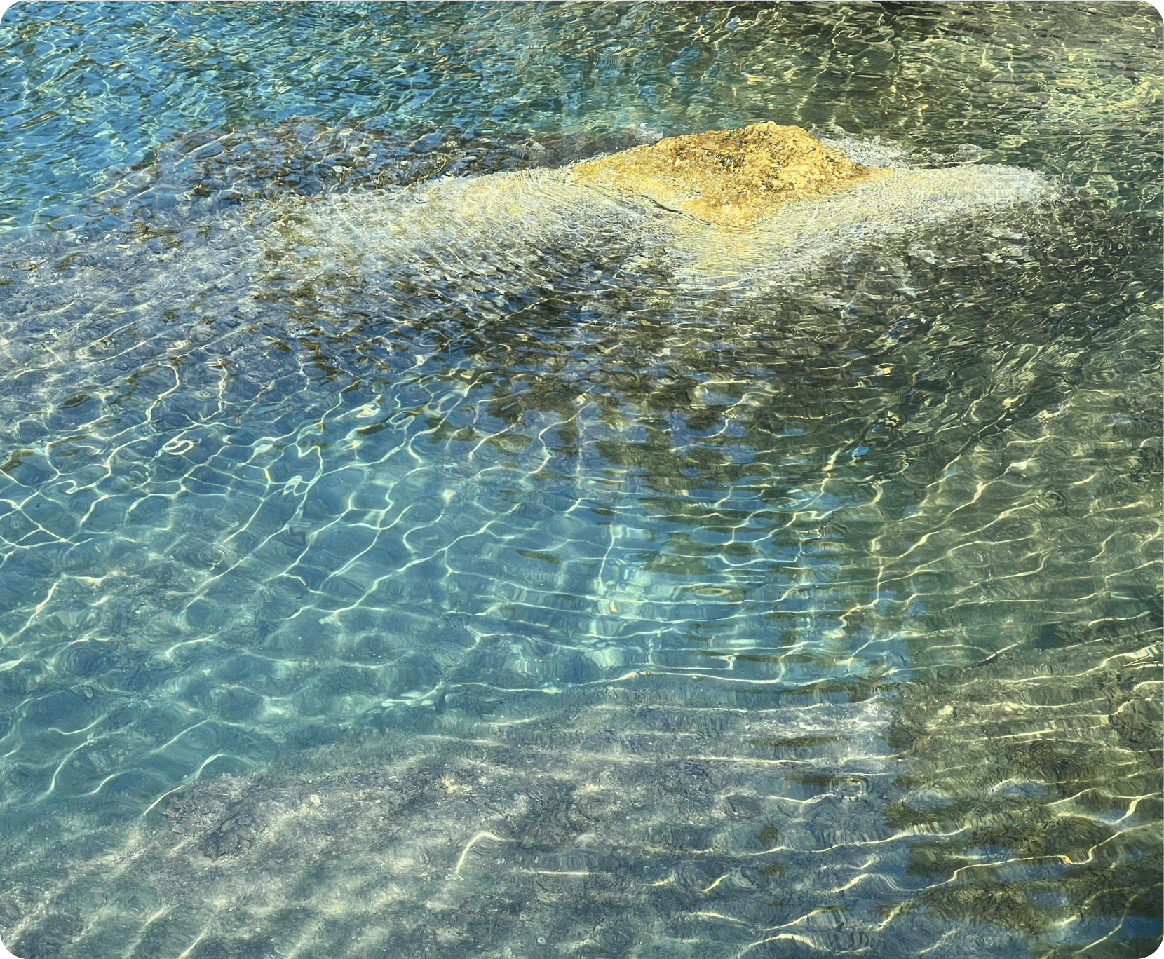 Clear water rippling over submerged rock